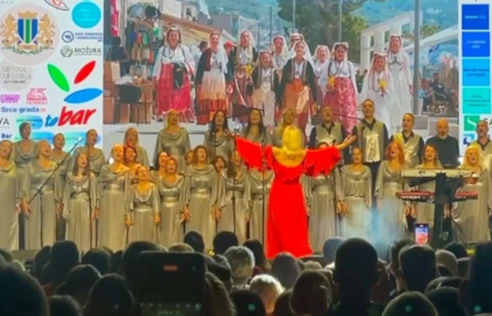 Udruge hrvatskih branitelja pisale zboru iz Crne Gore